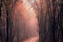 开拓者再胜对手，实力逐渐崛起！