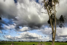 巨星横空出世控球创新，率队全面压制对手