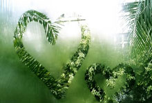 球员技术超群,成为球队不可或缺之人