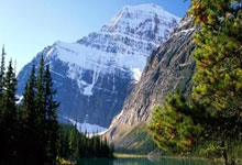 激烈角逐即将揭晓，球队备战冠军之战