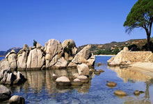 新晋小将掌控全局，发挥超常状态带队大胜